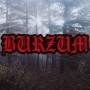 Наспинник вышитый Burzum - Old Logo 1991