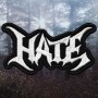 Embroidered Patch Hate - Logo