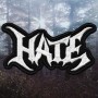 Нашивка вышитая Hate - Logo